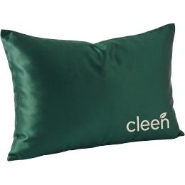 Mulberry silk pillowcase